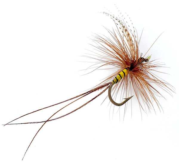 Drift Out West Fly Fishing.
